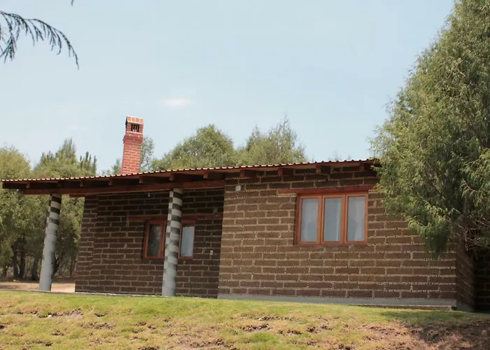 El Huariche